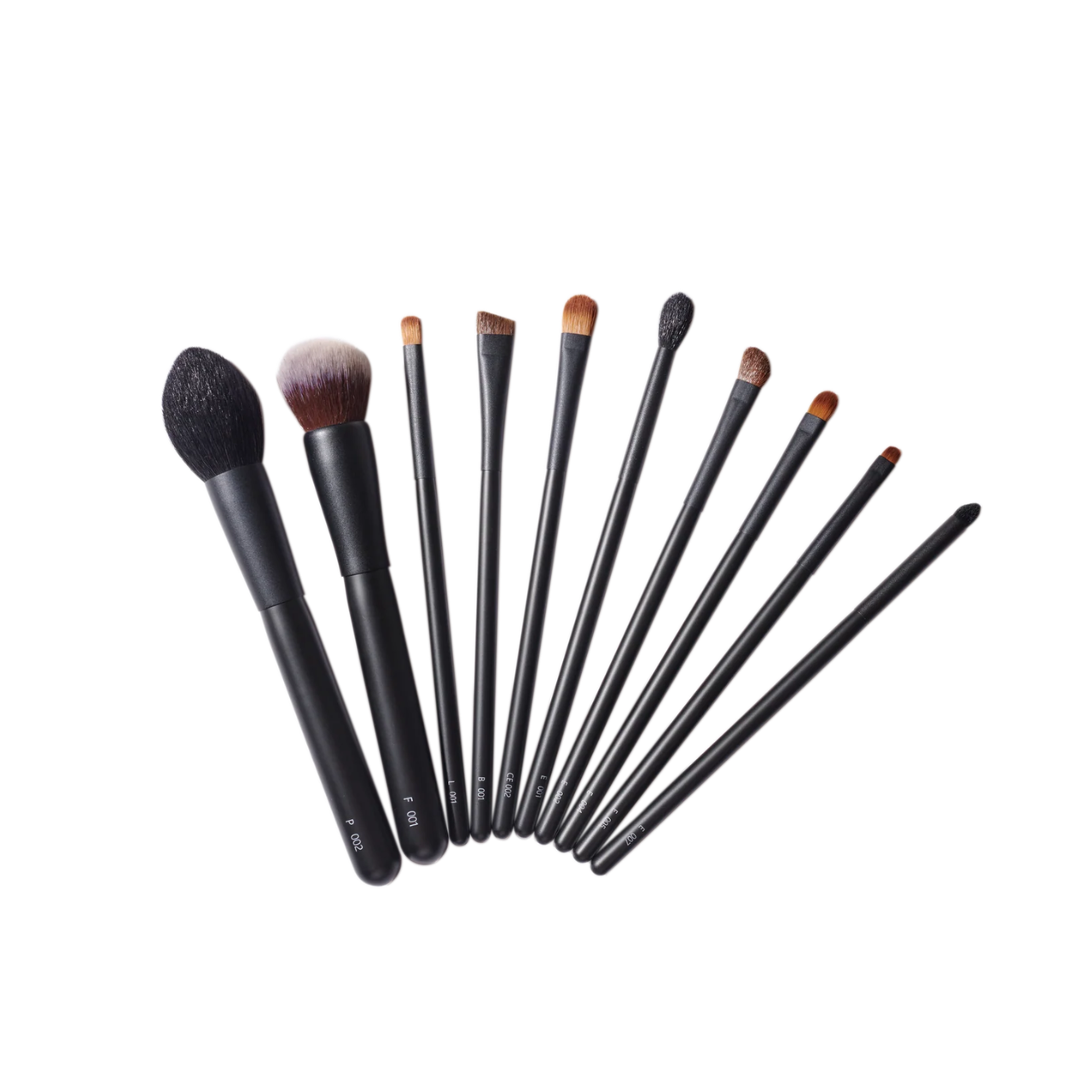 Kumano Brush Makeup Brushes/ Advance Set of 10 brushes